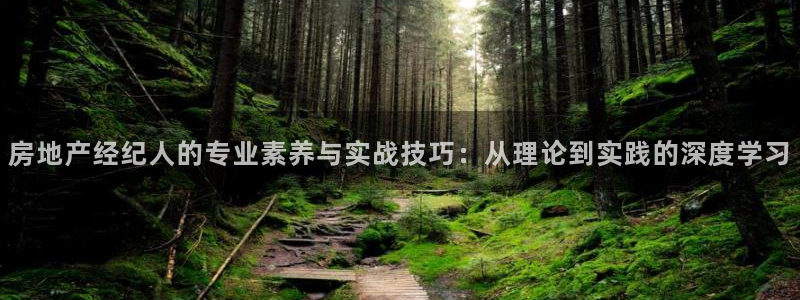 新宝5下载到桌面：房地产经纪人的专业素养与实战技巧：从理论到