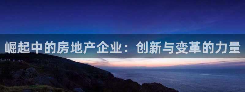 新宝5招商222111：崛起中的房地产企业：创新与变革的力量