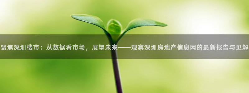 新宝5注册账号：聚焦深圳楼市：从数据看市场，展望未来——观察