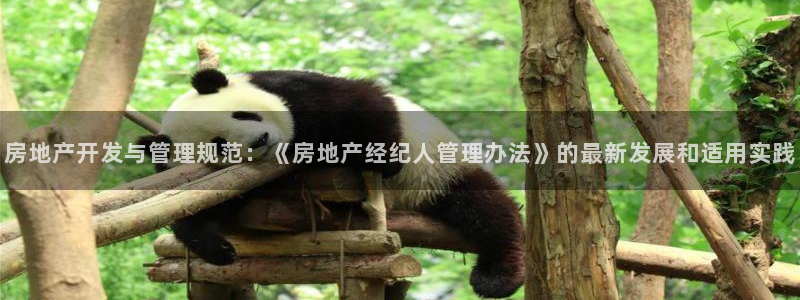 新宝5 888：房地产开发与管理规范：《房地产经纪人管理办法