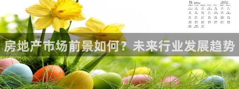 新宝5娱乐主管