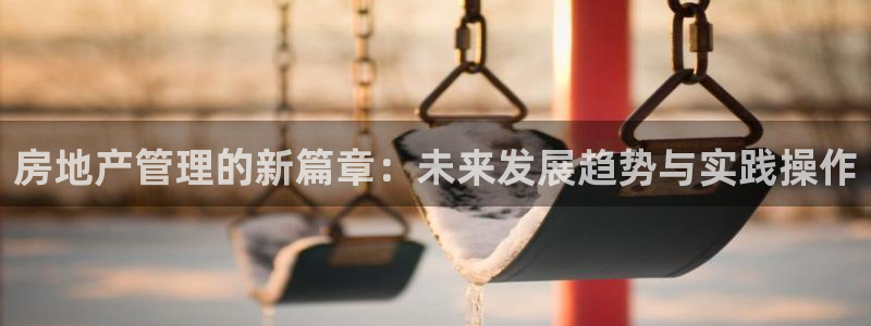 新宝5找找74OOO5：房地产管理的新篇章：未来发展趋势与实
