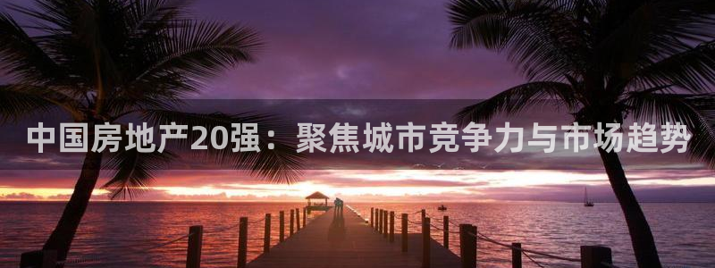 新宝5是谁的：中国房地产20强：聚焦城市竞争力与市场趋势