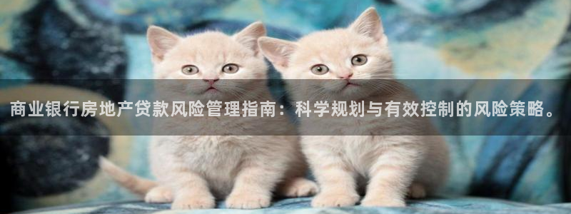新宝5寂创33300散：商业银行房地产贷款风险管理指南：科学
