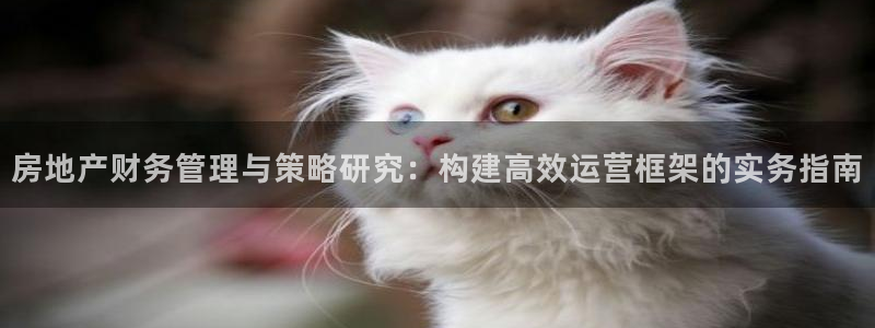 新宝5网：房地产财务管理与策略研究：构建高效运营框架的实务指