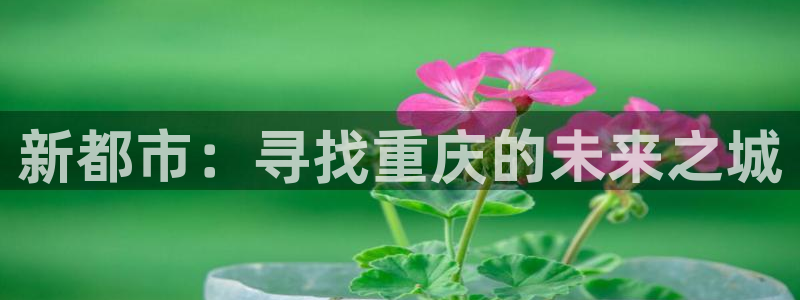 新宝5测速：新都市：寻找重庆的未来之城