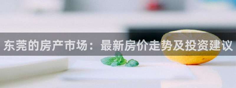 新宝5怎么代理：东莞的房产市场：最新房价走势及投资建议