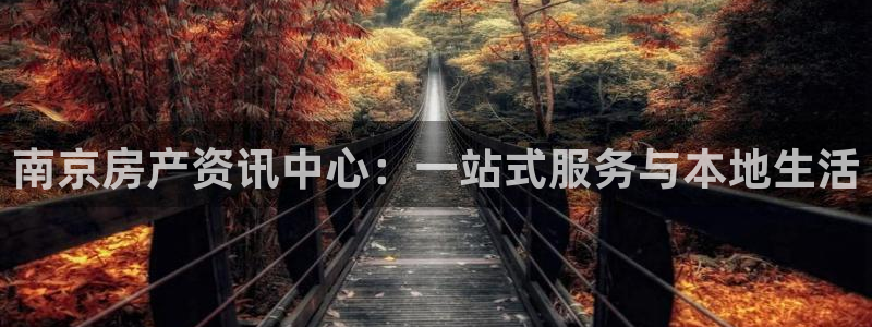 新宝5娱乐学：南京房产资讯中心：一站式服务与本地生活