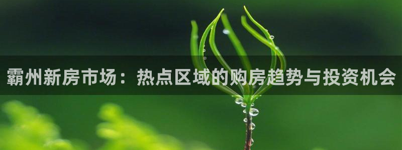新宝5台卡：霸州新房市场：热点区域的购房趋势与投资机会