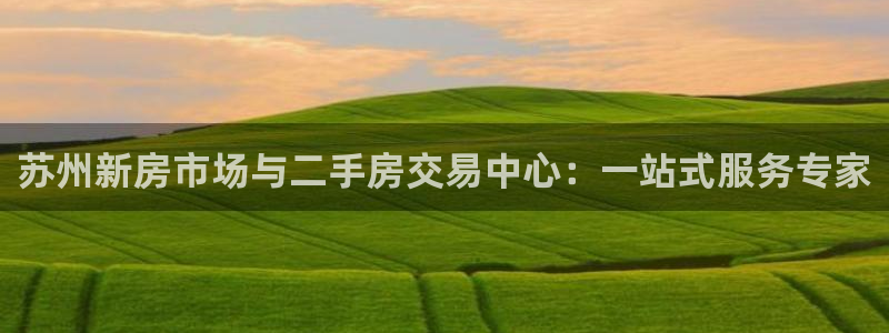 新宝5电脑登录网址：苏州新房市场与二手房交易中心：一站式服务