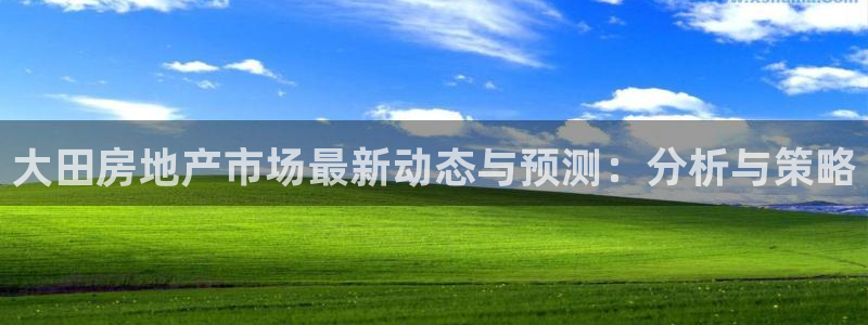 新宝5平台登录：大田房地产市场最新动态与预测：分析与策略
