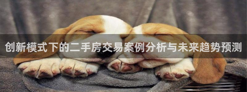 新宝5秒开：创新模式下的二手房交易案例分析与未来趋势预测