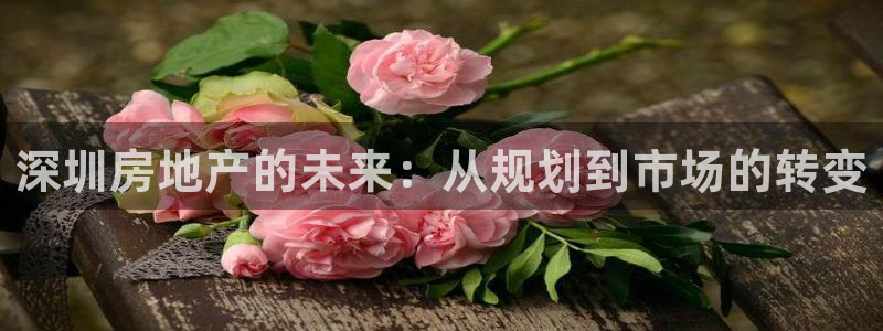 新宝5娱乐：深圳房地产的未来：从规划到市场的转变
