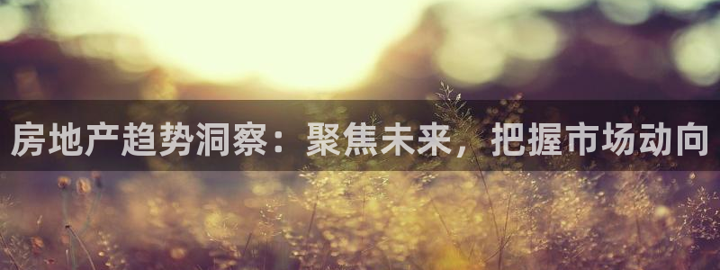 新宝5浗维33 300：房地产趋势洞察：聚焦未来，把握市场动