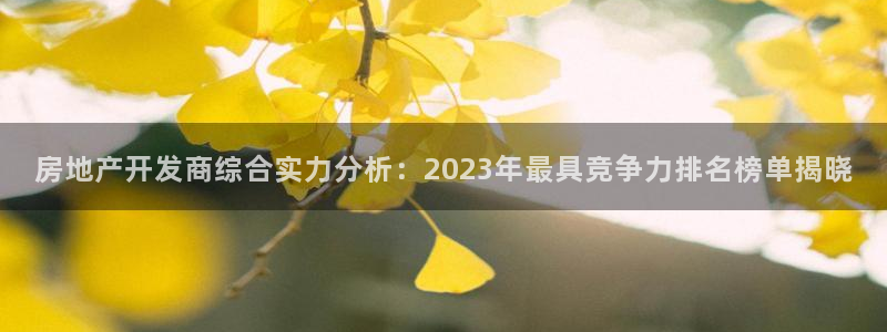 新宝5手机版登录：房地产开发商综合实力分析：2023年最具竞