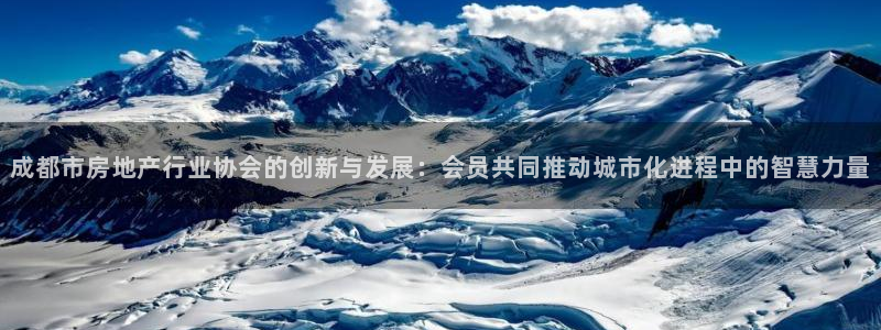 新宝xb5：成都市房地产行业协会的创新与发展：会员共同推动城