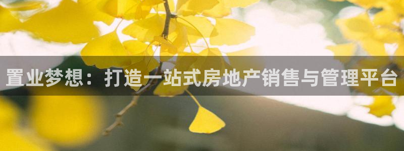 新宝5手机版：置业梦想：打造一站式房地产销售与管理平台
