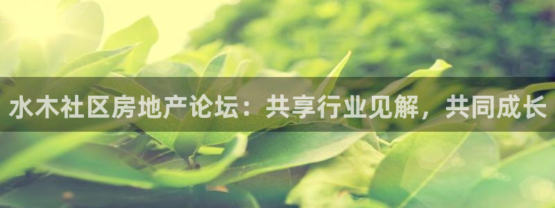 新宝5手机下载：水木社区房地产论坛：共享行业见解，共同成长