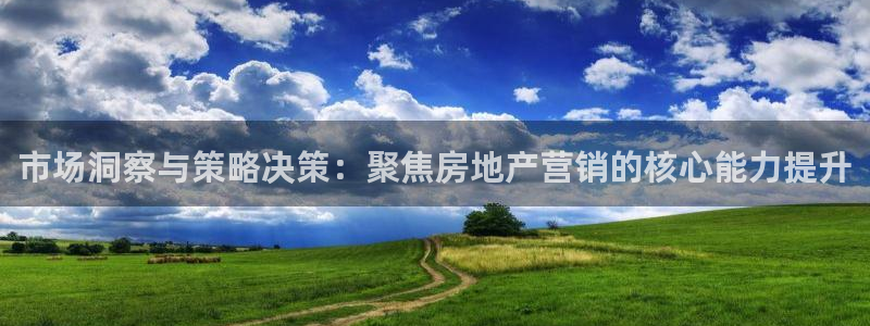 新宝5娱乐多：市场洞察与策略决策：聚焦房地产营销的核心能力提