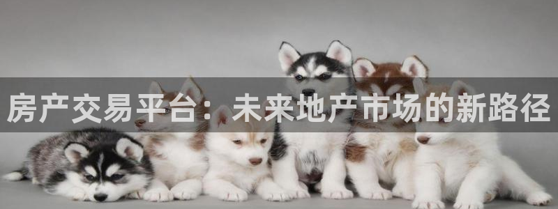 新宝gg5：房产交易平台：未来地产市场的新路径