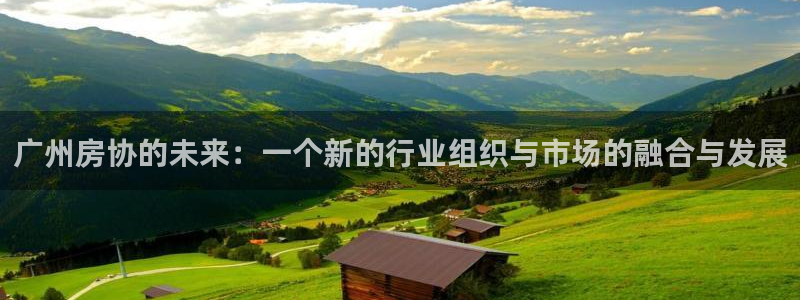 新宝5是谁的：广州房协的未来：一个新的行业组织与市场的融合与