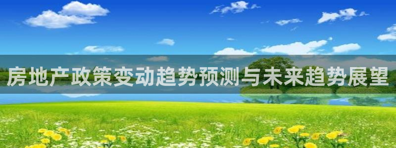 新宝5娱乐方：房地产政策变动趋势预测与未来趋势展望