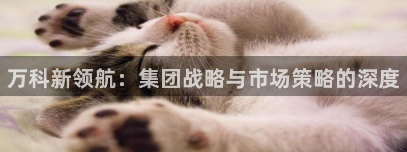 新宝新5：万科新领航：集团战略与市场策略的深度