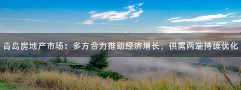 新宝5娱乐登录：青岛房地产市场：多方合力推动经济增长，供需两