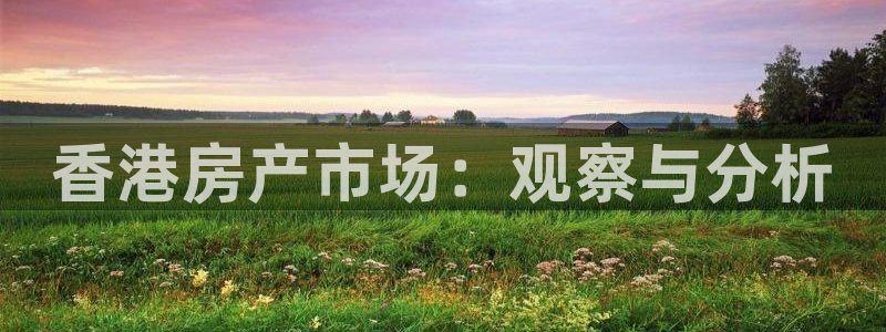 新宝5娱乐然：香港房产市场：观察与分析