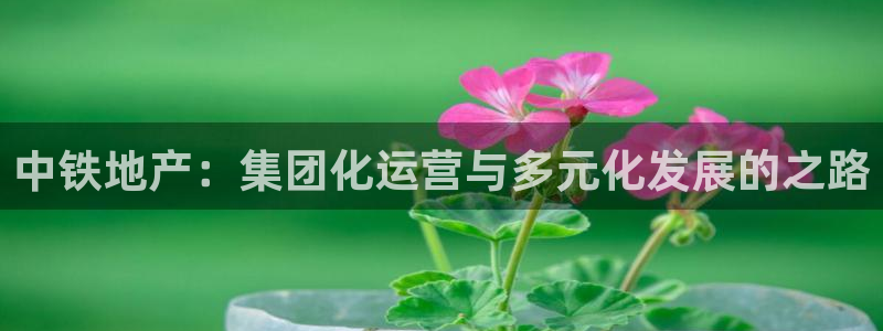新宝5是什么：中铁地产：集团化运营与多元化发展的之路