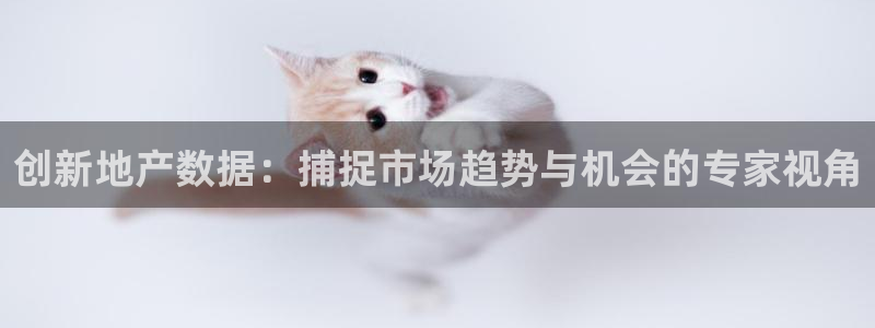 2022新宝骏rs 5：创新地产数据：捕捉市场趋势与机会的专