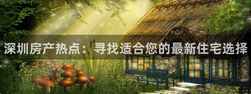 新宝5登录霸：深圳房产热点：寻找适合您的最新住宅选择