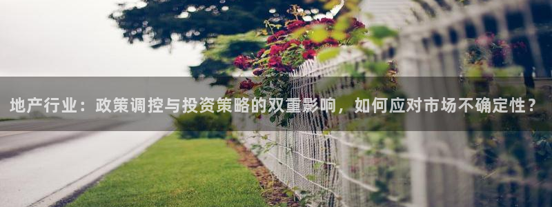 新宝5巅峰：地产行业：政策调控与投资策略的双重影响，如何应对