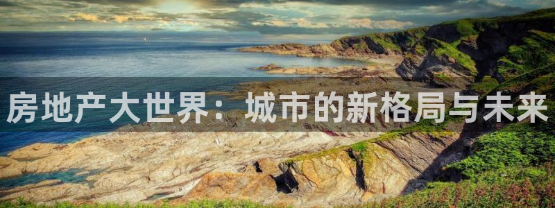 新宝_5：房地产大世界：城市的新格局与未来