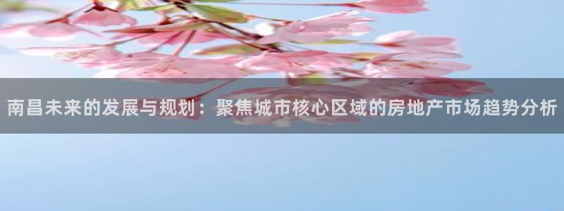 新宝5线路登录：南昌未来的发展与规划：聚焦城市核心区域的房地