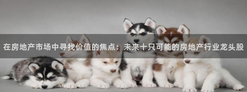 新宝5分彩：在房地产市场中寻找价值的焦点：未来十只可能的房地