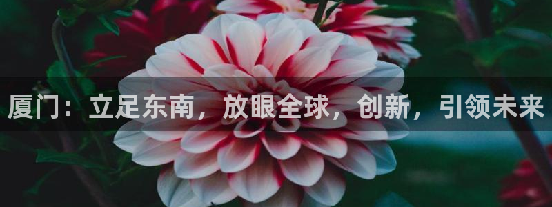 新宝5官方网站：厦门：立足东南，放眼全球，创新，引领未来