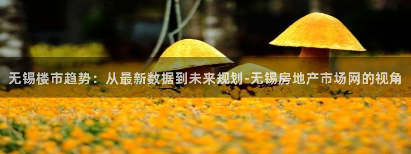 新宝5主管：无锡楼市趋势：从最新数据到未来规划-无锡房地产市
