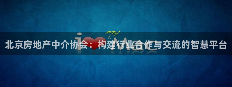 新宝5王问74OOO5：北京房地产中介协会：构建行业合作与交