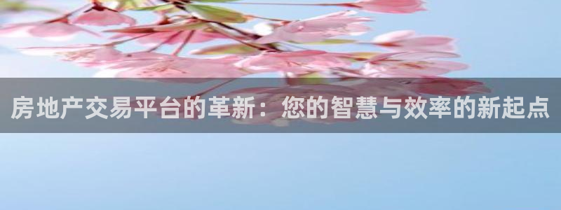 新宝5下载：房地产交易平台的革新：您的智慧与效率的新起点