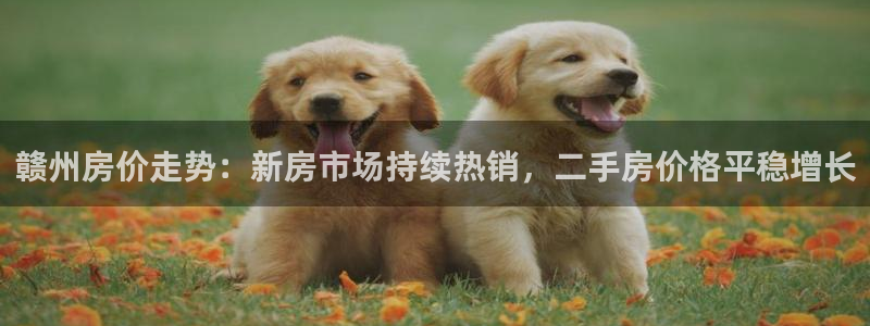 新宝5怎么下载到桌面：赣州房价走势：新房市场持续热销，二手房