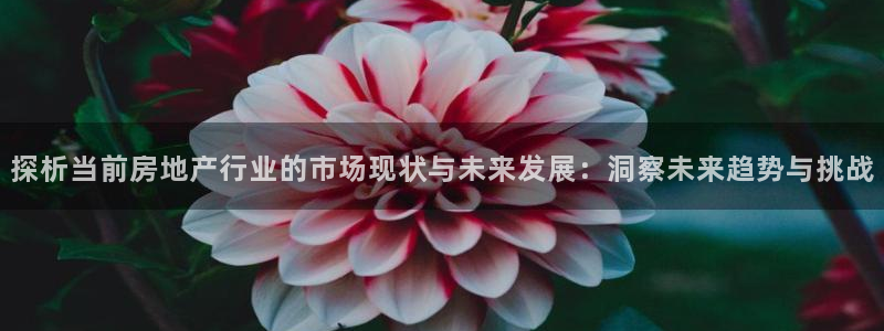 新宝5下载软件：探析当前房地产行业的市场现状与未来发展：洞察
