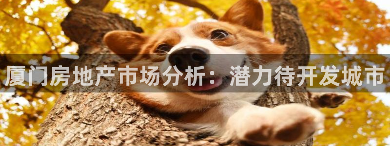 新宝5尤74OOO5：厦门房地产市场分析：潜力待开发城市
