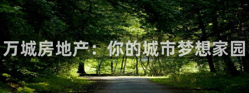 新宝集团新宝5：万城房地产：你的城市梦想家园