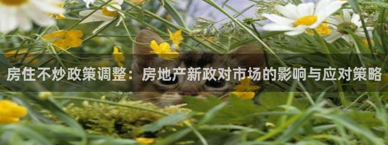 新宝5注册账号：房住不炒政策调整：房地产新政对市场的影响与应