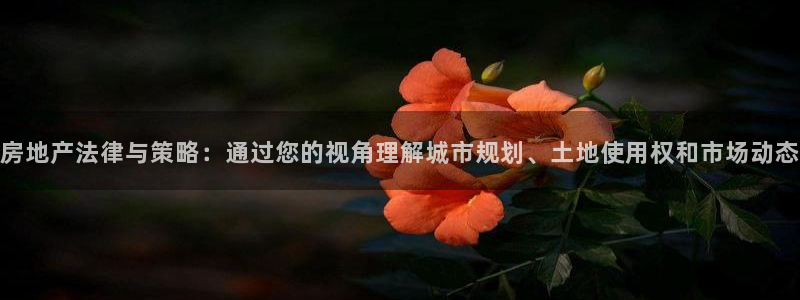 新宝5是谁：房地产法律与策略：通过您的视角理解城市规划、土地