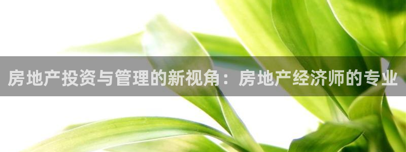 新宝5官方登录入口：房地产投资与管理的新视角：房地产经济师的
