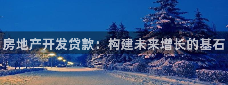 新宝5娱乐主管：房地产开发贷款：构建未来增长的基石