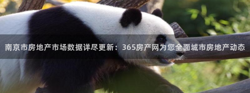 新宝5平棋牌：南京市房地产市场数据详尽更新：365房产网为您