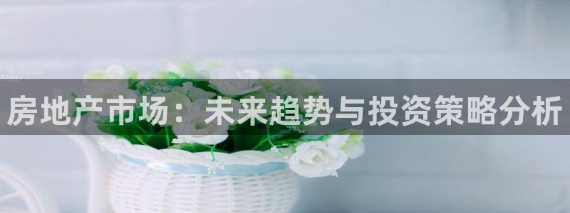 新宝5新宝6顺达：房地产市场：未来趋势与投资策略分析